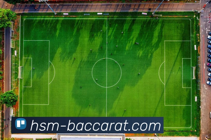 App Interface Preview